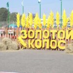 Школьная акция «Золотой колос»